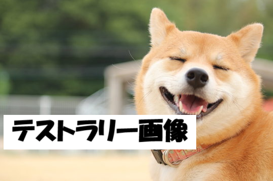 スタンプラリーのバナー画像